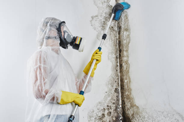 Water Damage Restoration in Merrill, IA