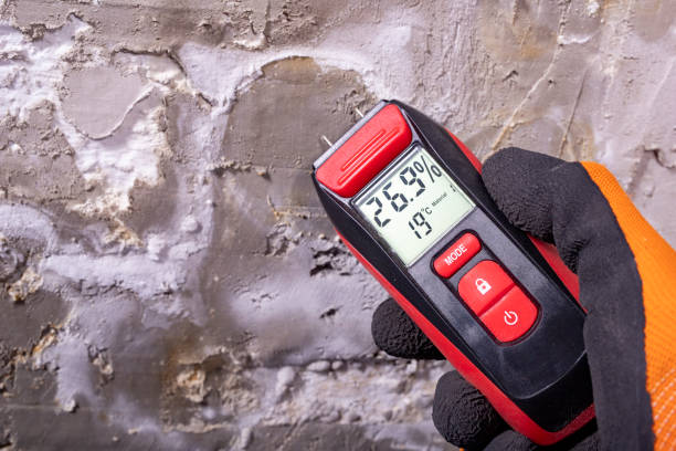 Professional Mold Removal in Merrill, IA