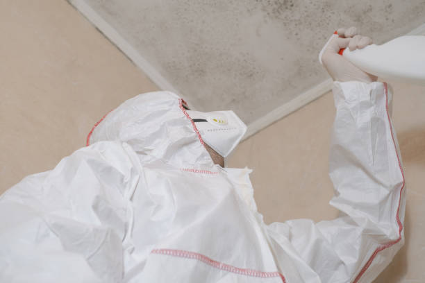 Best Office Mold Removal Services  in Merrill, IA
